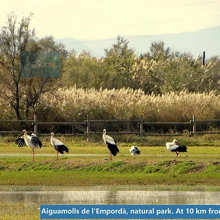 Appartement Inmosantos Daniel